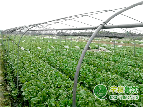 廣州食堂承包公司能給企業(yè)帶來(lái)什么，企業(yè)知道嗎？